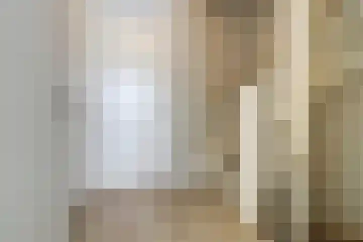 Deenendries 21 Hulsel thumbnail 22