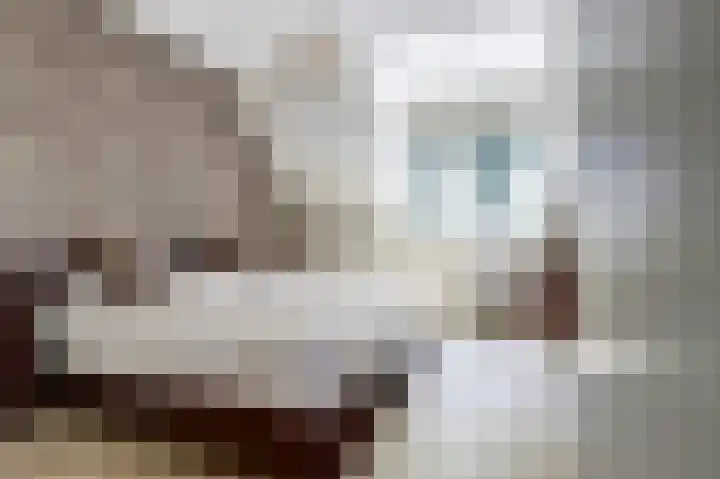 Deenendries 21 Hulsel thumbnail 23