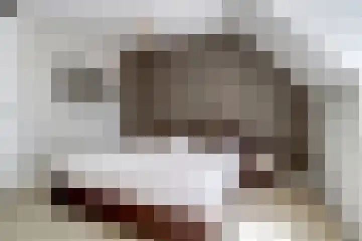 Deenendries 21 Hulsel thumbnail 24