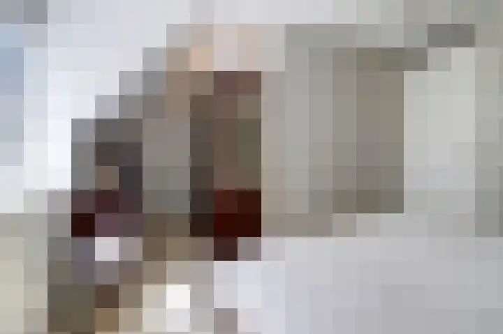 Deenendries 21 Hulsel thumbnail 25