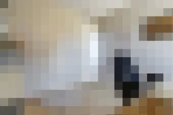 Deenendries 21 Hulsel thumbnail 27