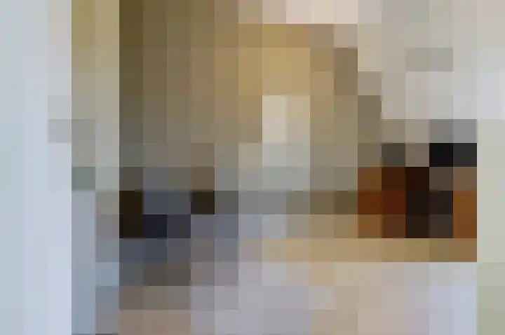 Deenendries 21 Hulsel thumbnail 28
