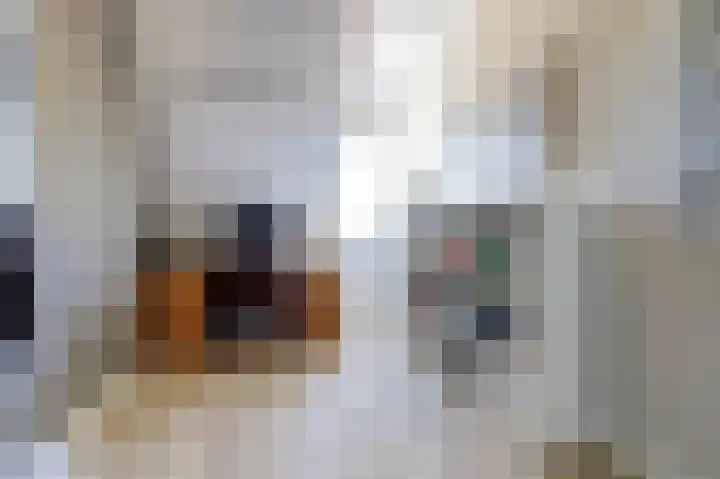 Deenendries 21 Hulsel thumbnail 29