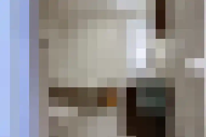 Deenendries 21 Hulsel thumbnail 30