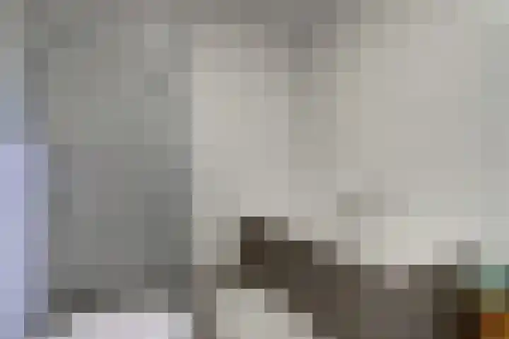 Deenendries 21 Hulsel thumbnail 31