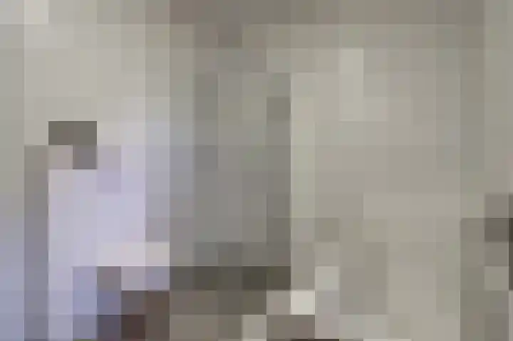 Deenendries 21 Hulsel thumbnail 32
