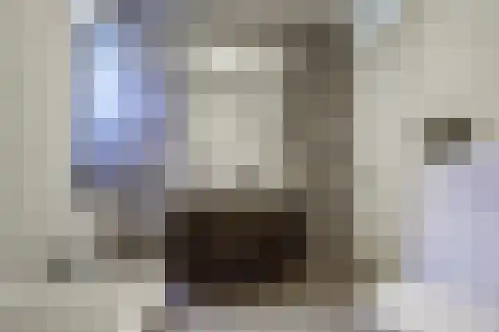 Deenendries 21 Hulsel thumbnail 33