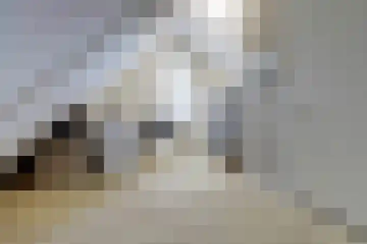 Deenendries 21 Hulsel thumbnail 34