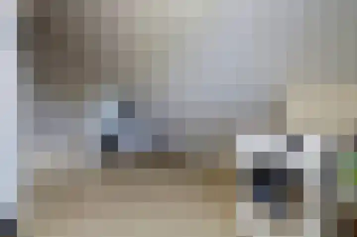 Deenendries 21 Hulsel thumbnail 35