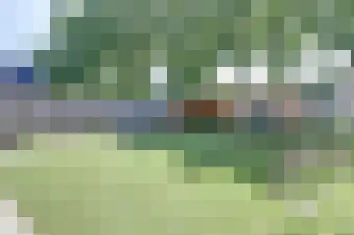 Deenendries 21 Hulsel thumbnail 36