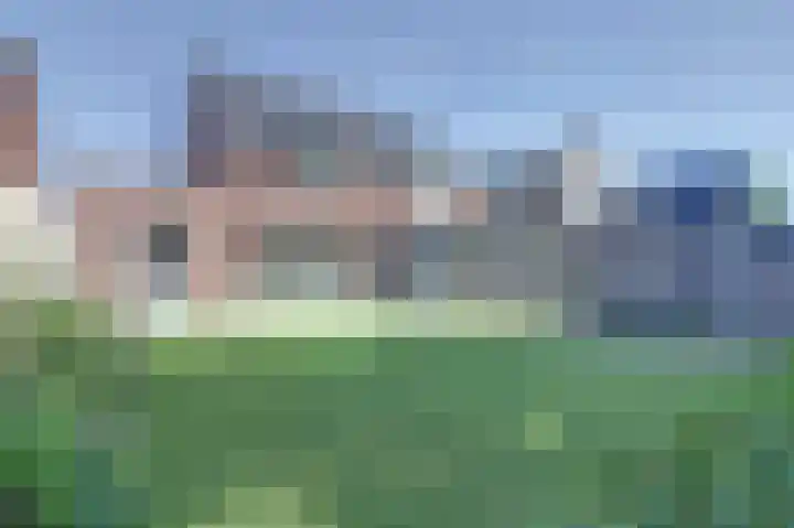 Deenendries 21 Hulsel thumbnail 40