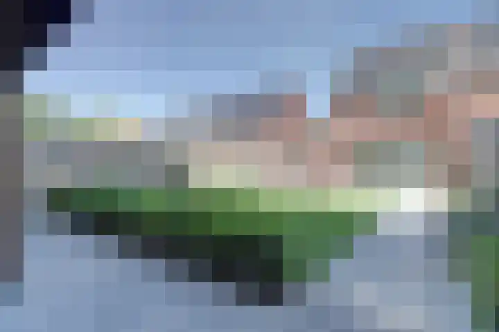 Deenendries 21 Hulsel thumbnail 41