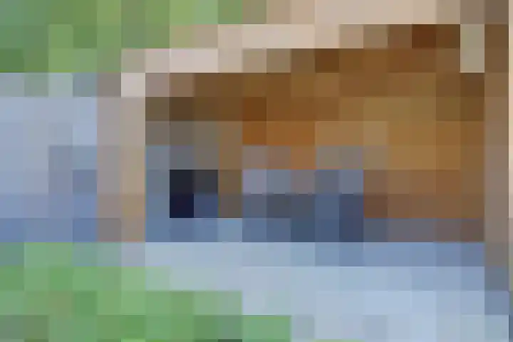 Deenendries 21 Hulsel thumbnail 43