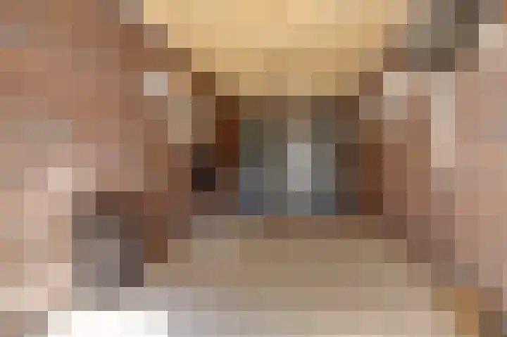 Deenendries 21 Hulsel thumbnail 45