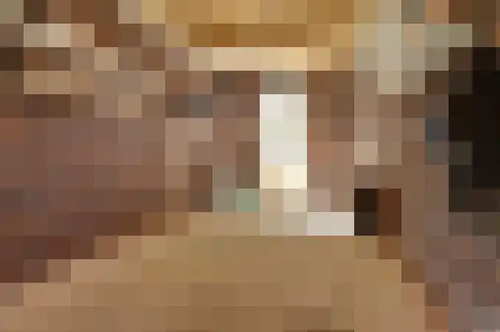 Deenendries 21 Hulsel thumbnail 46