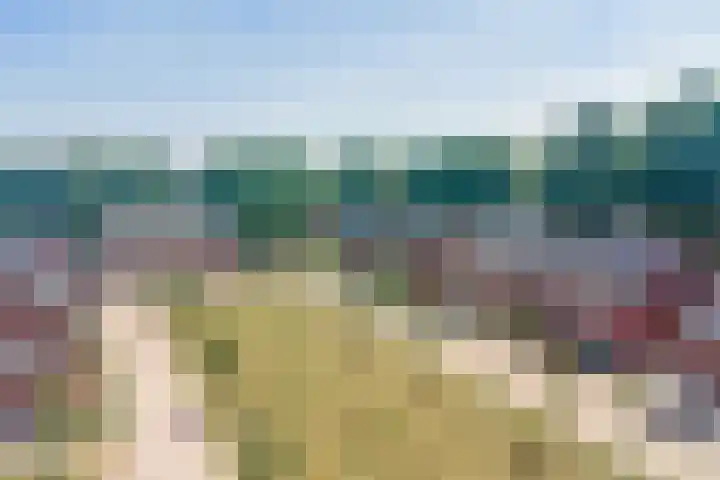 Deenendries 21 Hulsel thumbnail 47