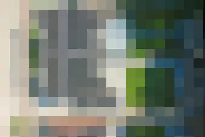 Deenendries 21 Hulsel thumbnail 48