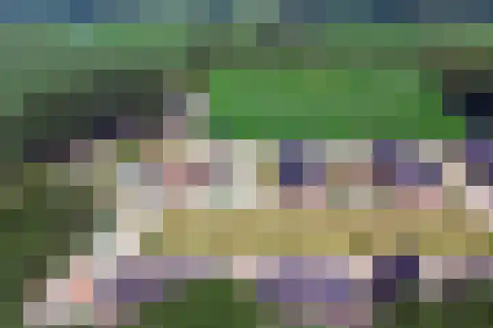 Deenendries 21 Hulsel thumbnail 49