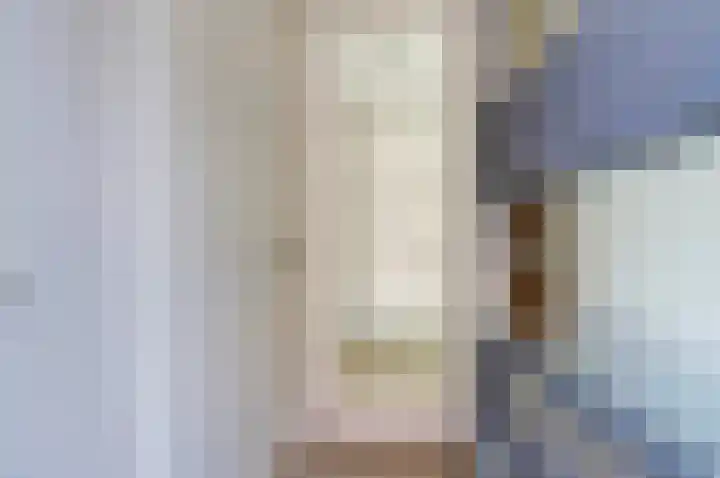 Deenendries 21 Hulsel thumbnail 5