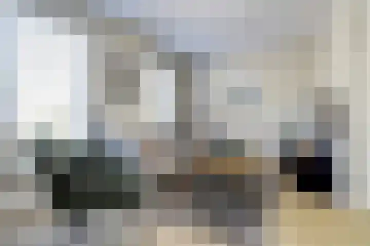 Deenendries 21 Hulsel thumbnail 9