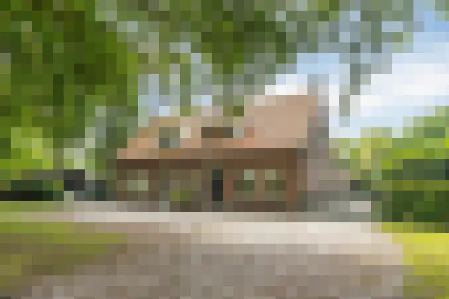 Deense Hoek 16 in Lieshout