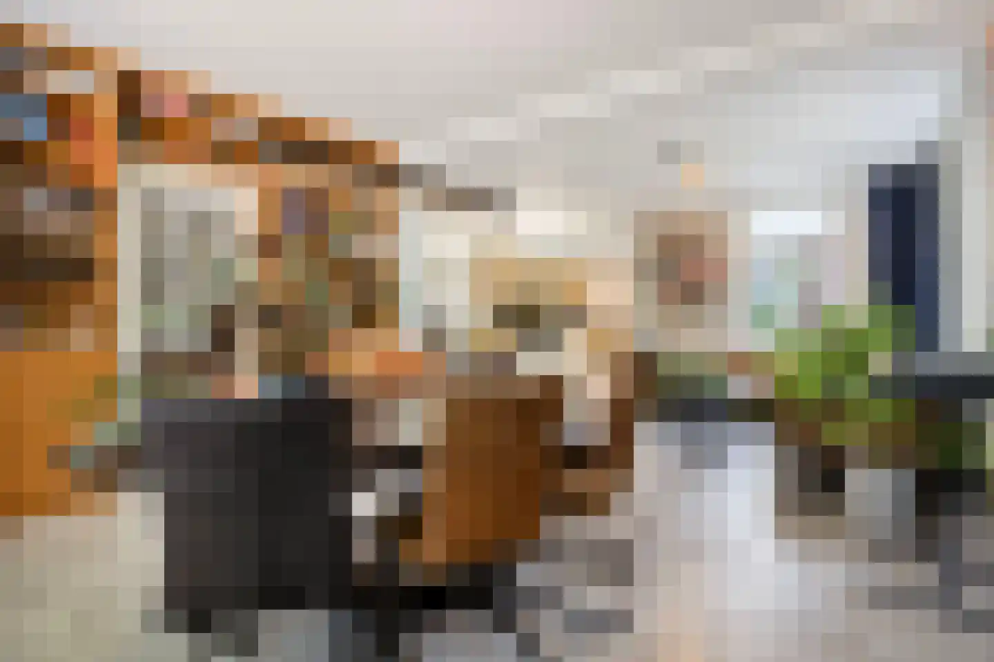 Deense Hoek 16 Lieshout thumbnail 11