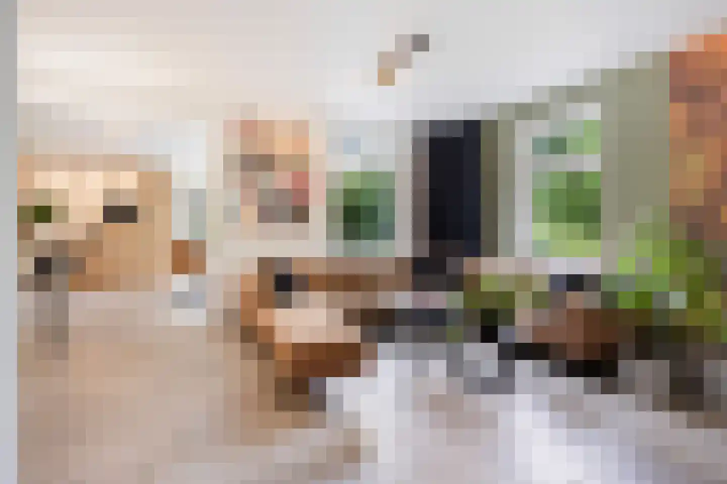 Deense Hoek 16 Lieshout thumbnail 13