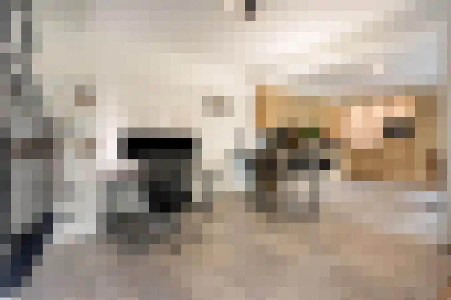 Deense Hoek 16 Lieshout thumbnail 16