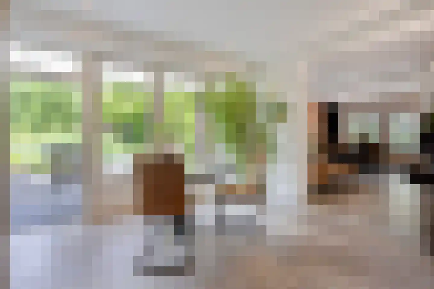 Deense Hoek 16 Lieshout thumbnail 19