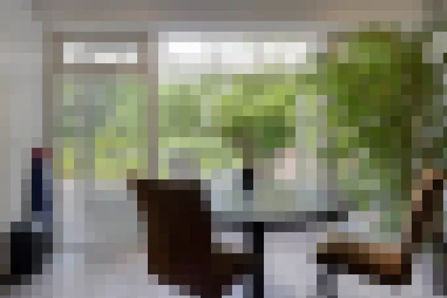 Deense Hoek 16 Lieshout thumbnail 20