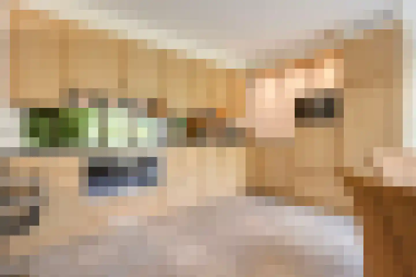 Deense Hoek 16 Lieshout thumbnail 23