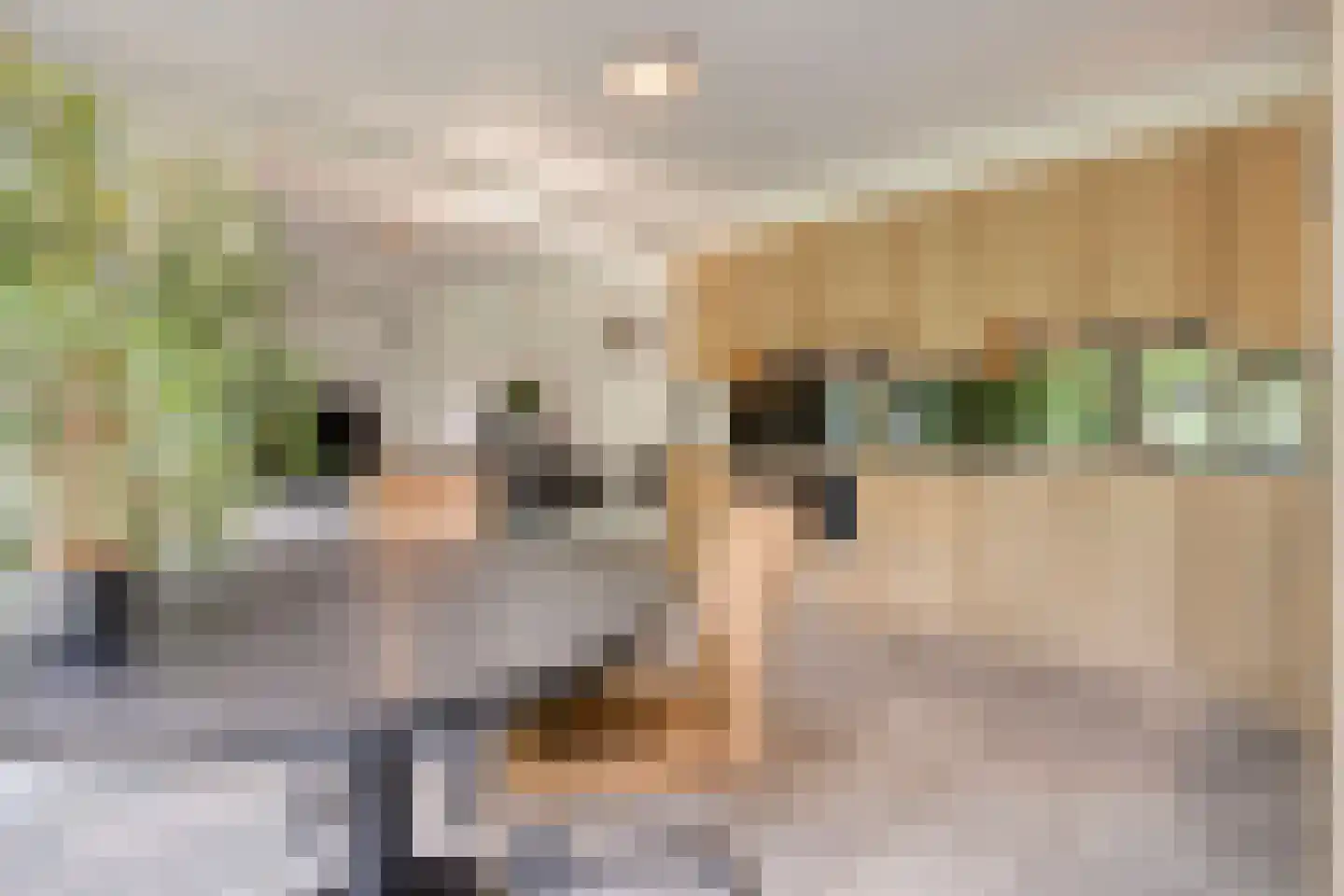 Deense Hoek 16 Lieshout thumbnail 24
