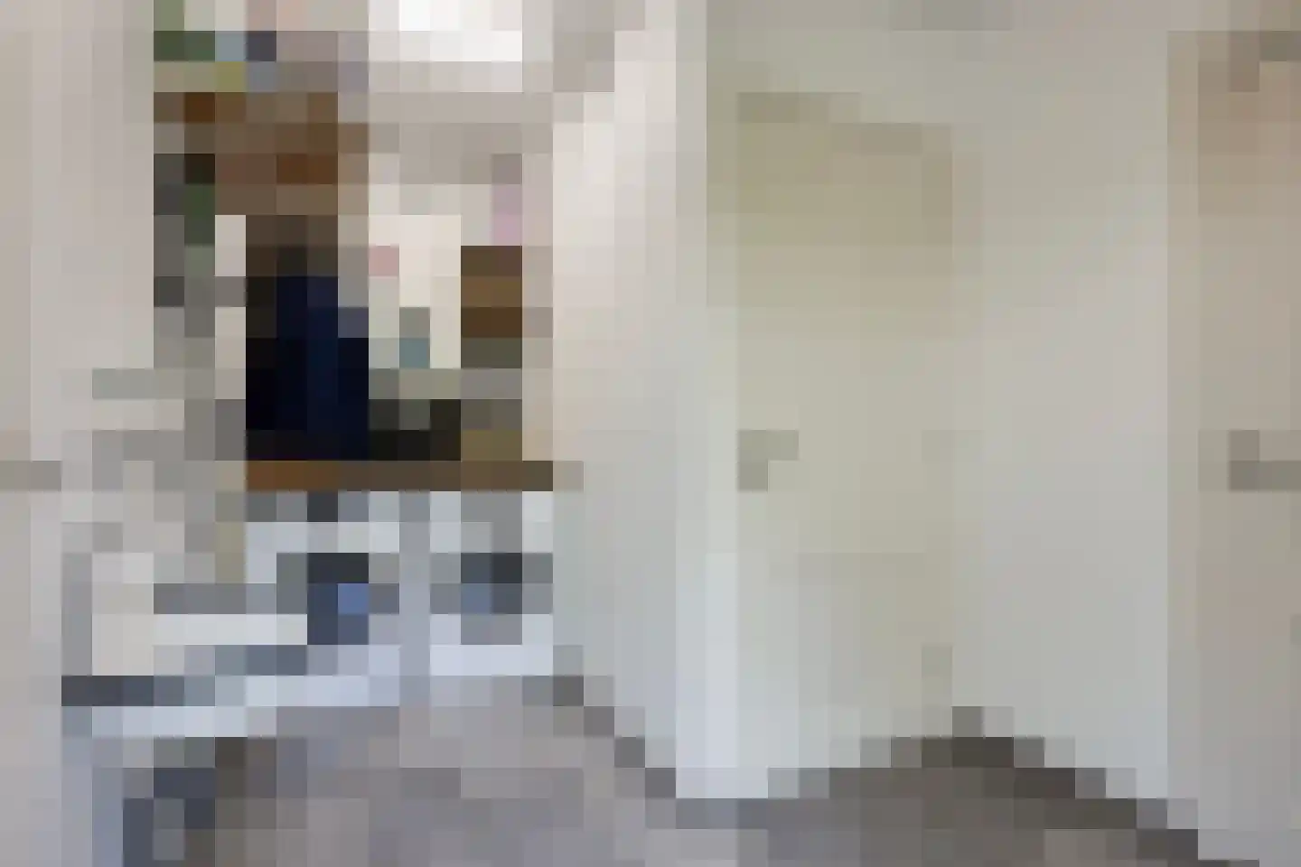 Deense Hoek 16 Lieshout thumbnail 25
