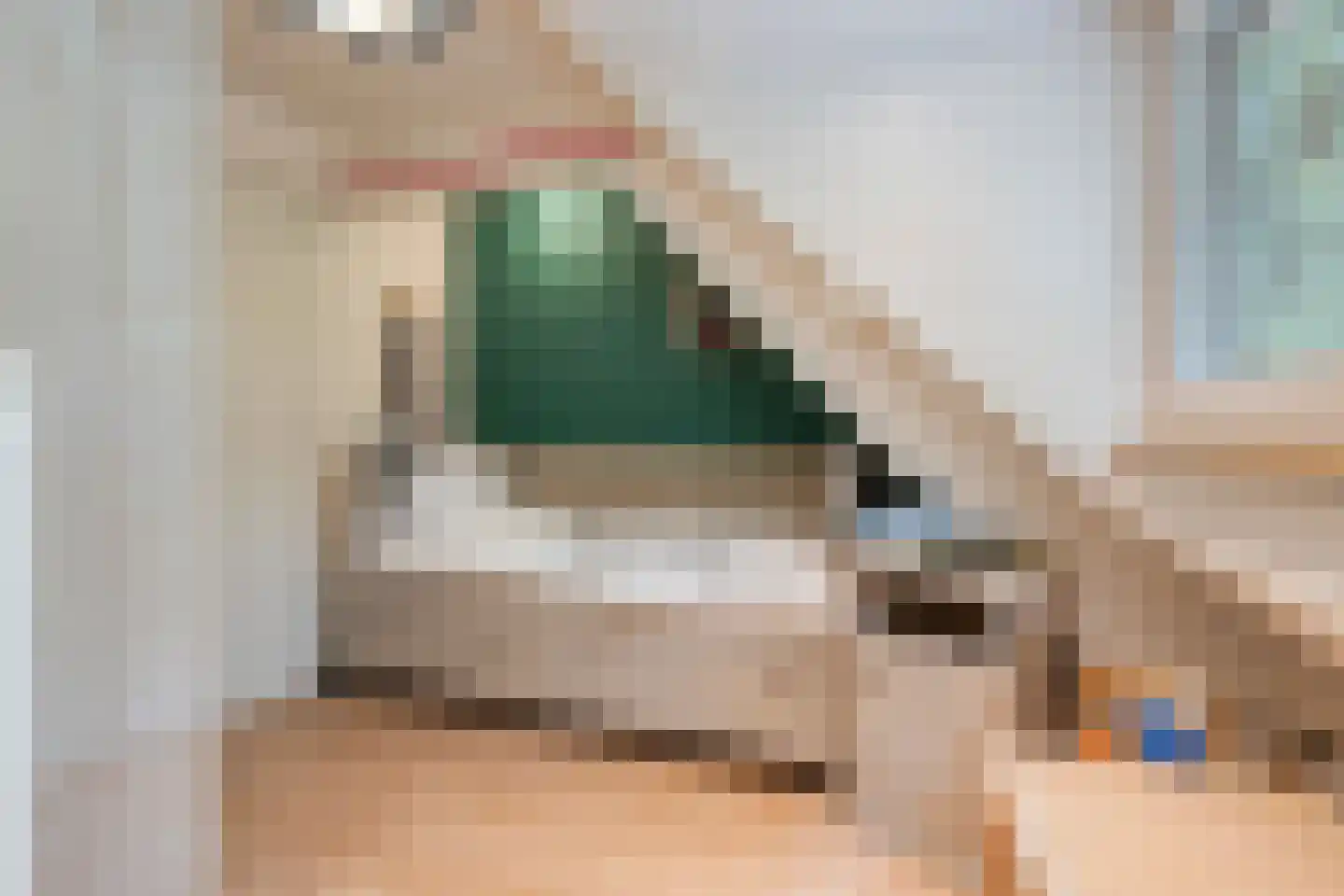 Deense Hoek 16 Lieshout thumbnail 37