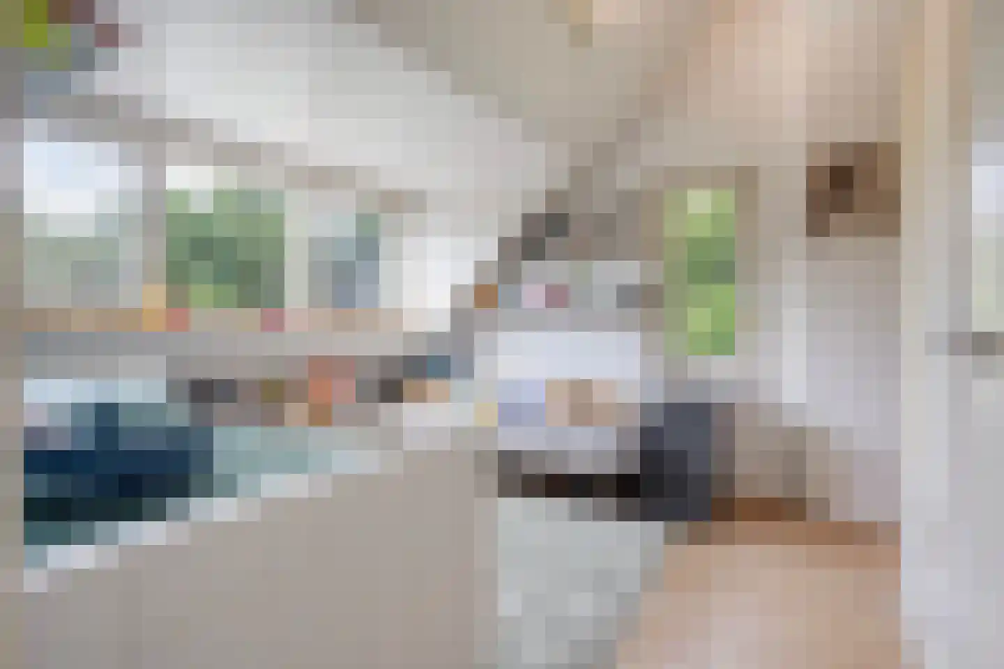 Deense Hoek 16 Lieshout thumbnail 38