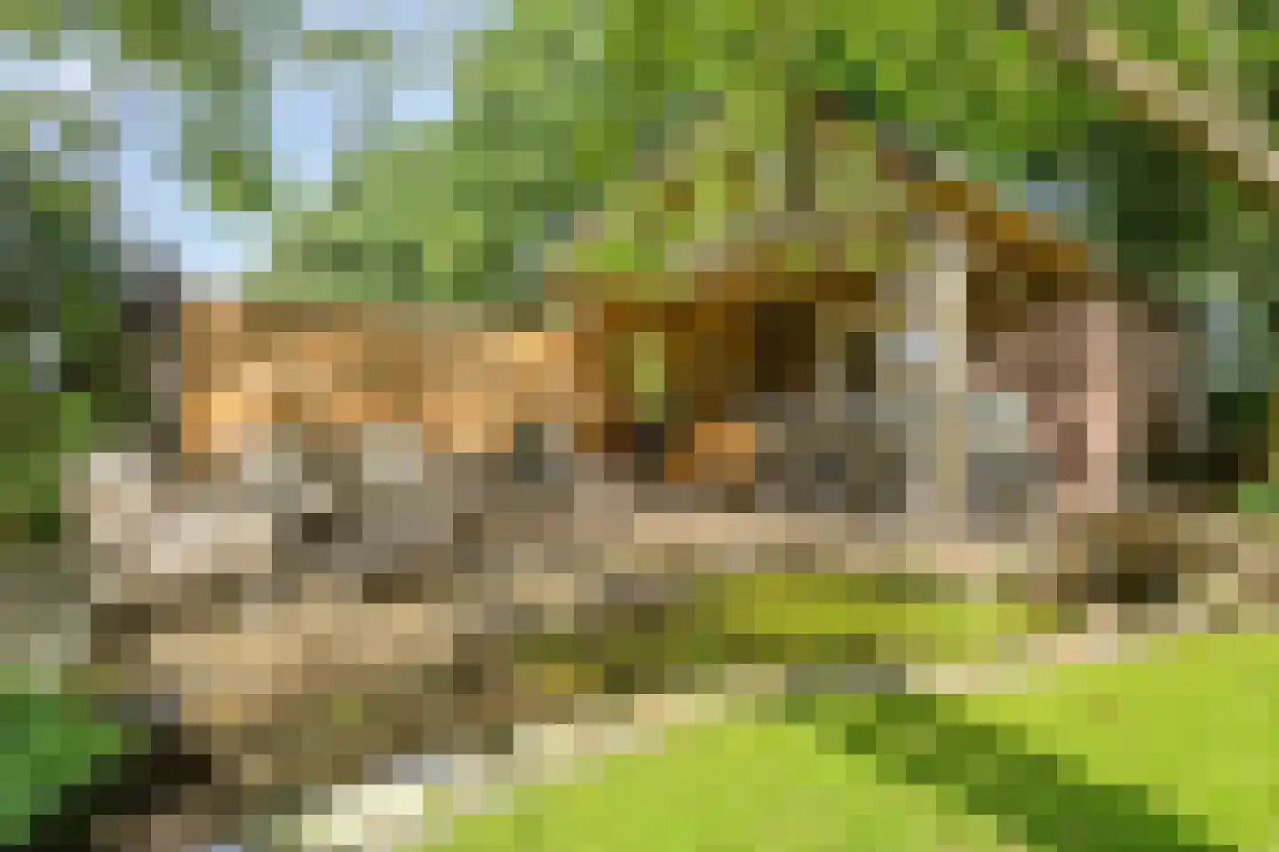 Deense Hoek 16 Lieshout thumbnail 4