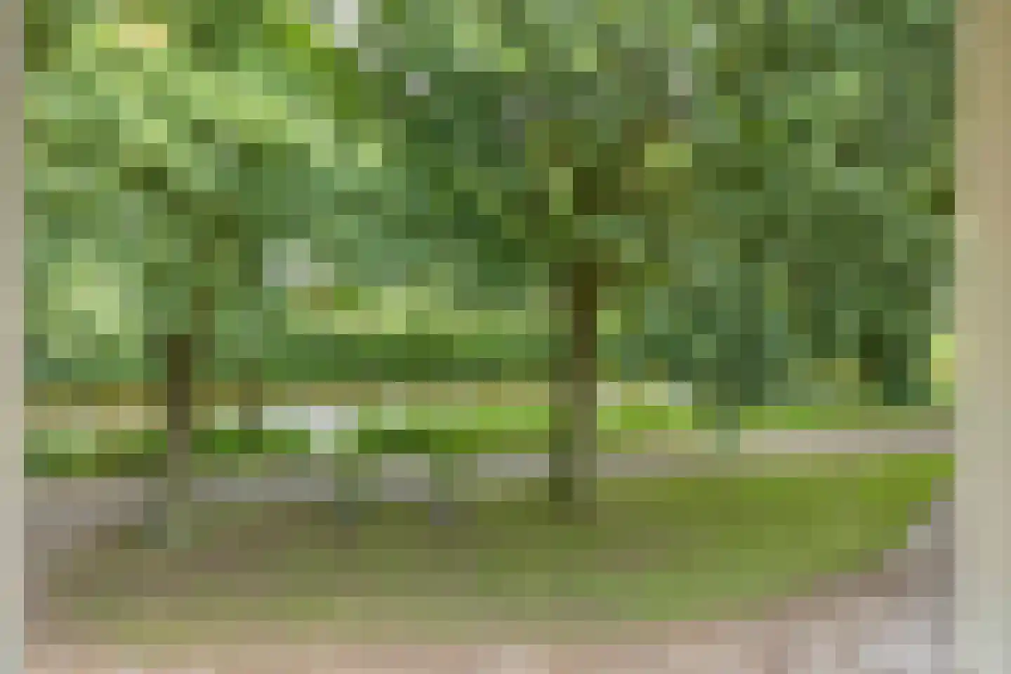 Deense Hoek 16 Lieshout thumbnail 40