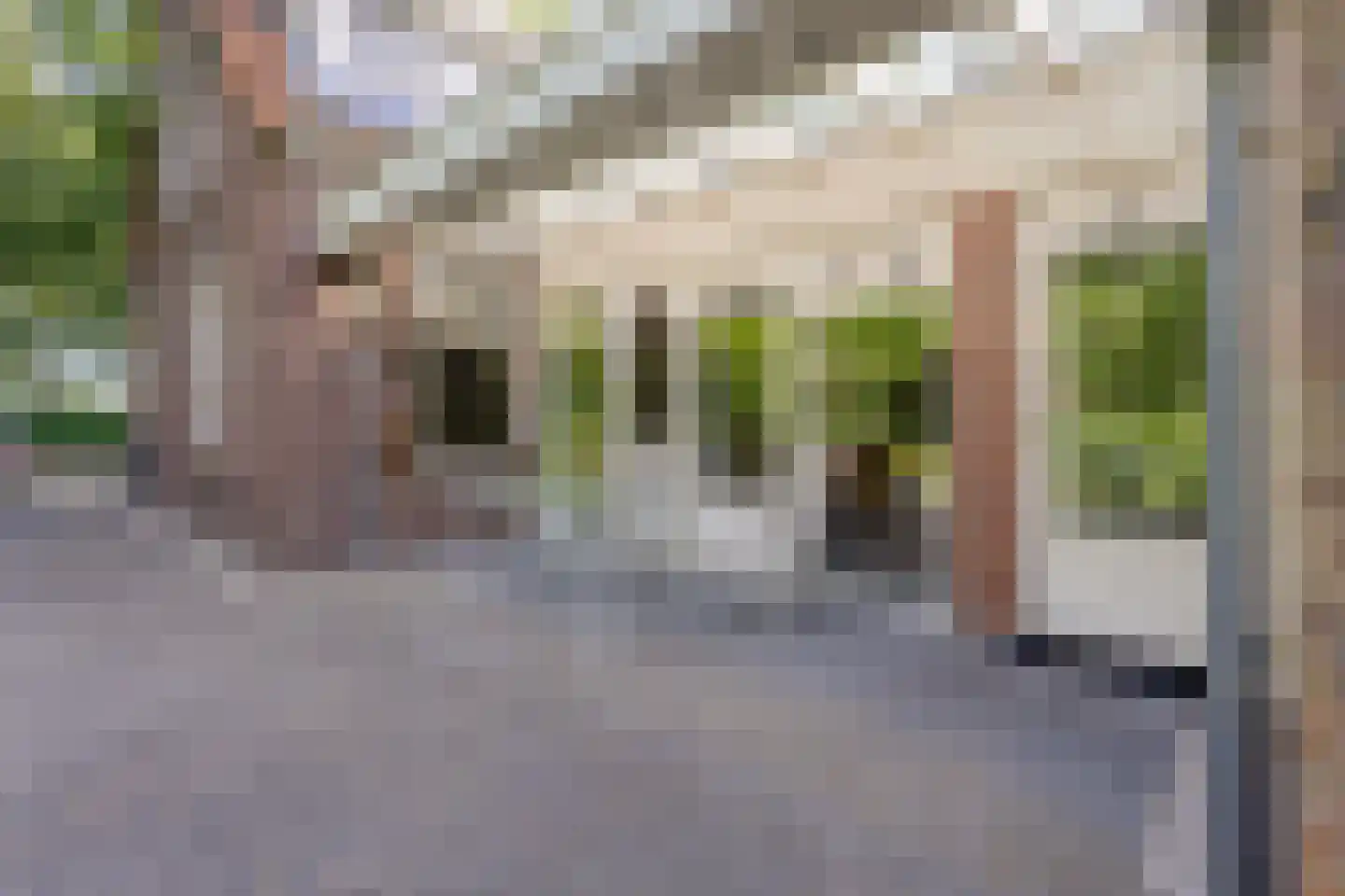 Deense Hoek 16 Lieshout thumbnail 42