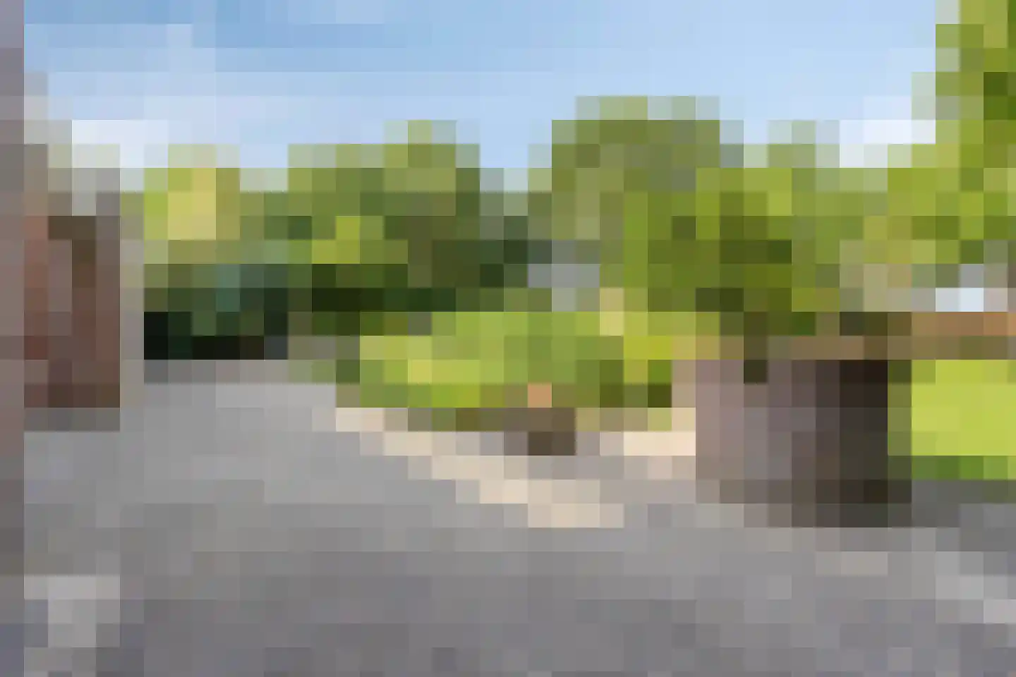 Deense Hoek 16 Lieshout thumbnail 43