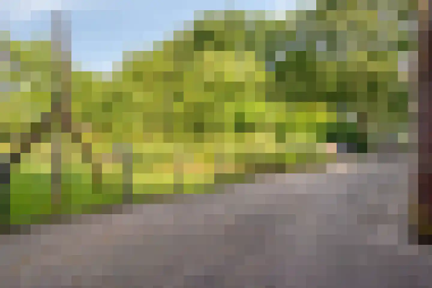 Deense Hoek 16 Lieshout thumbnail 45