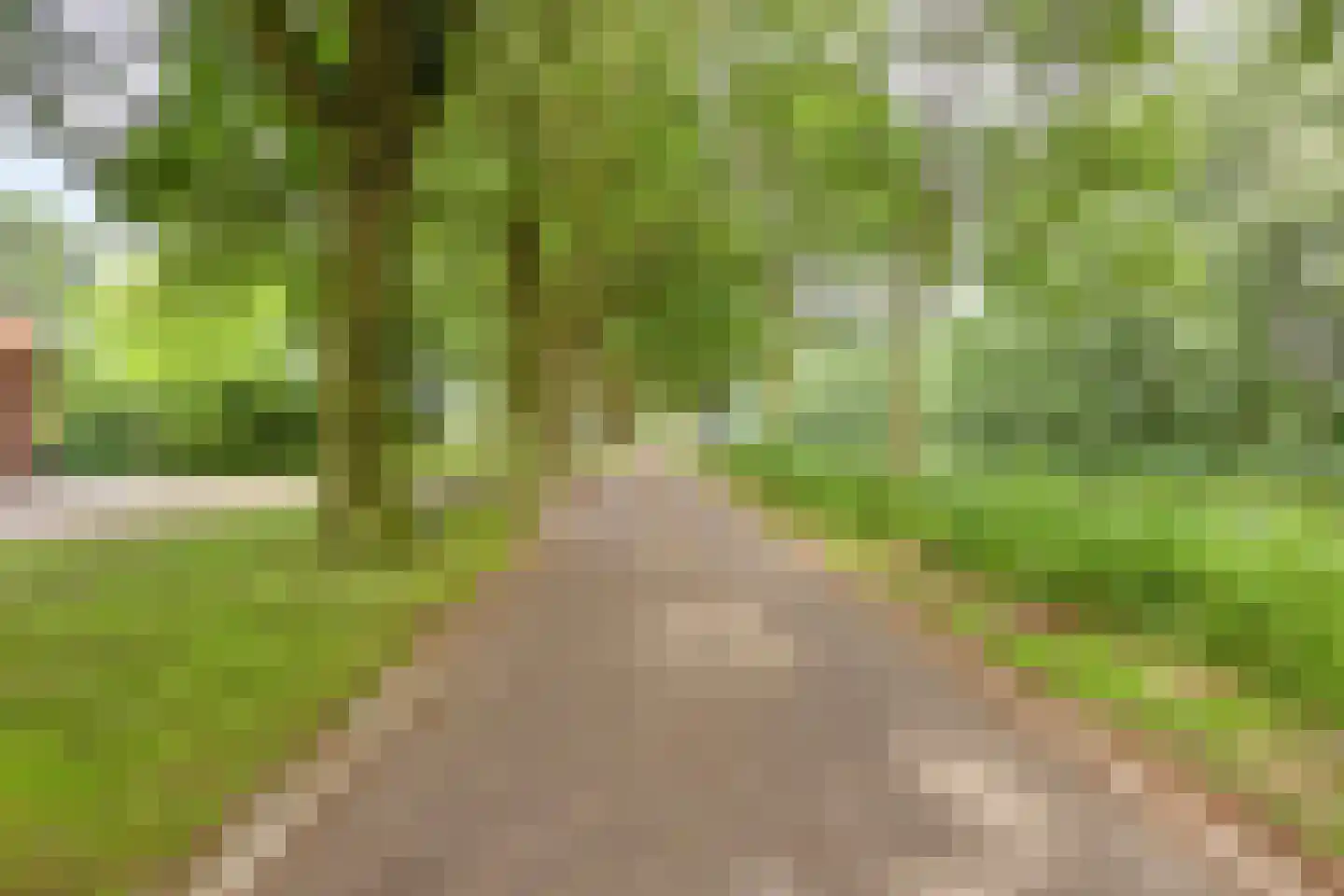 Deense Hoek 16 Lieshout thumbnail 5