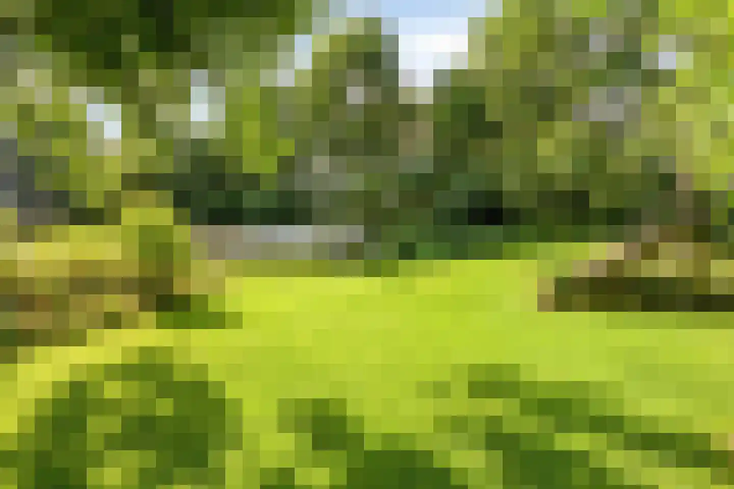 Deense Hoek 16 Lieshout thumbnail 51