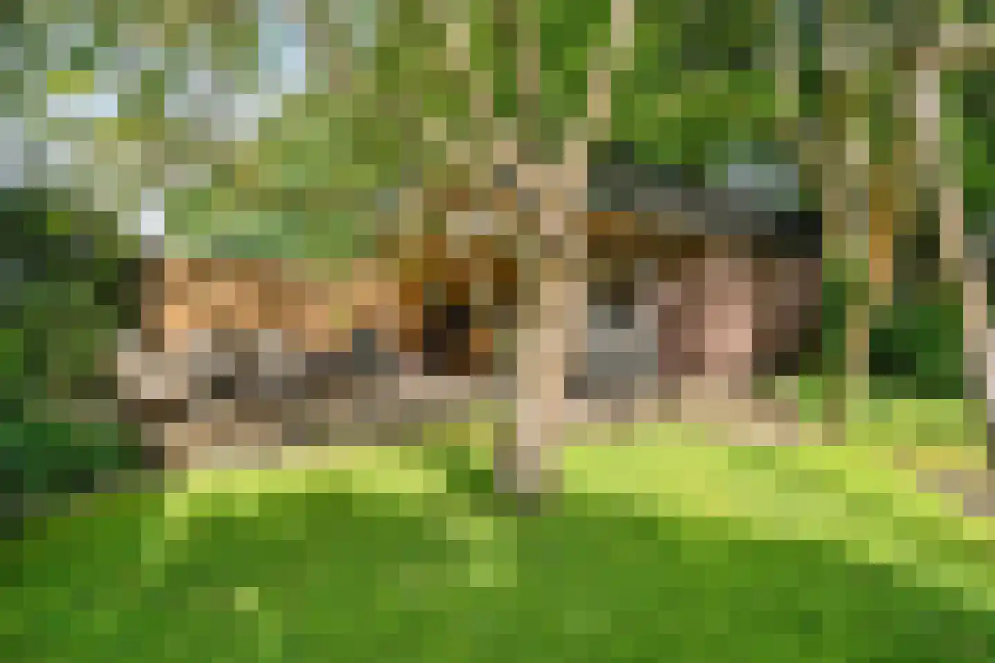 Deense Hoek 16 Lieshout thumbnail 52