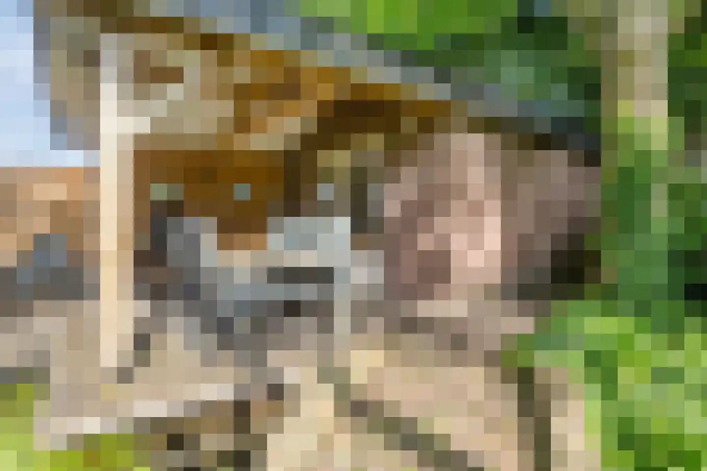 Deense Hoek 16 Lieshout thumbnail 54
