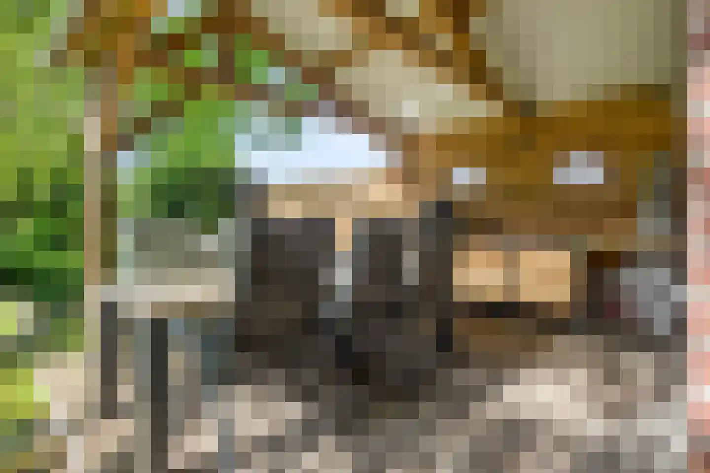 Deense Hoek 16 Lieshout thumbnail 55