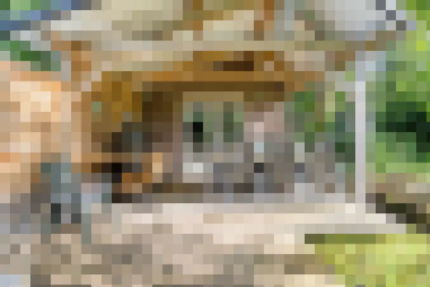 Deense Hoek 16 Lieshout thumbnail 60