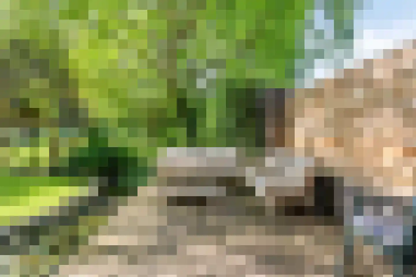 Deense Hoek 16 Lieshout thumbnail 61