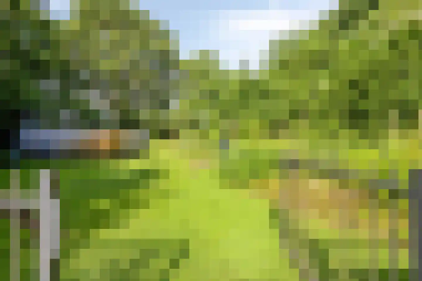 Deense Hoek 16 Lieshout thumbnail 62