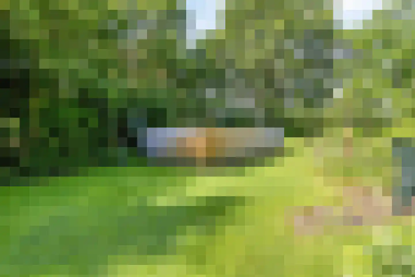 Deense Hoek 16 Lieshout thumbnail 63