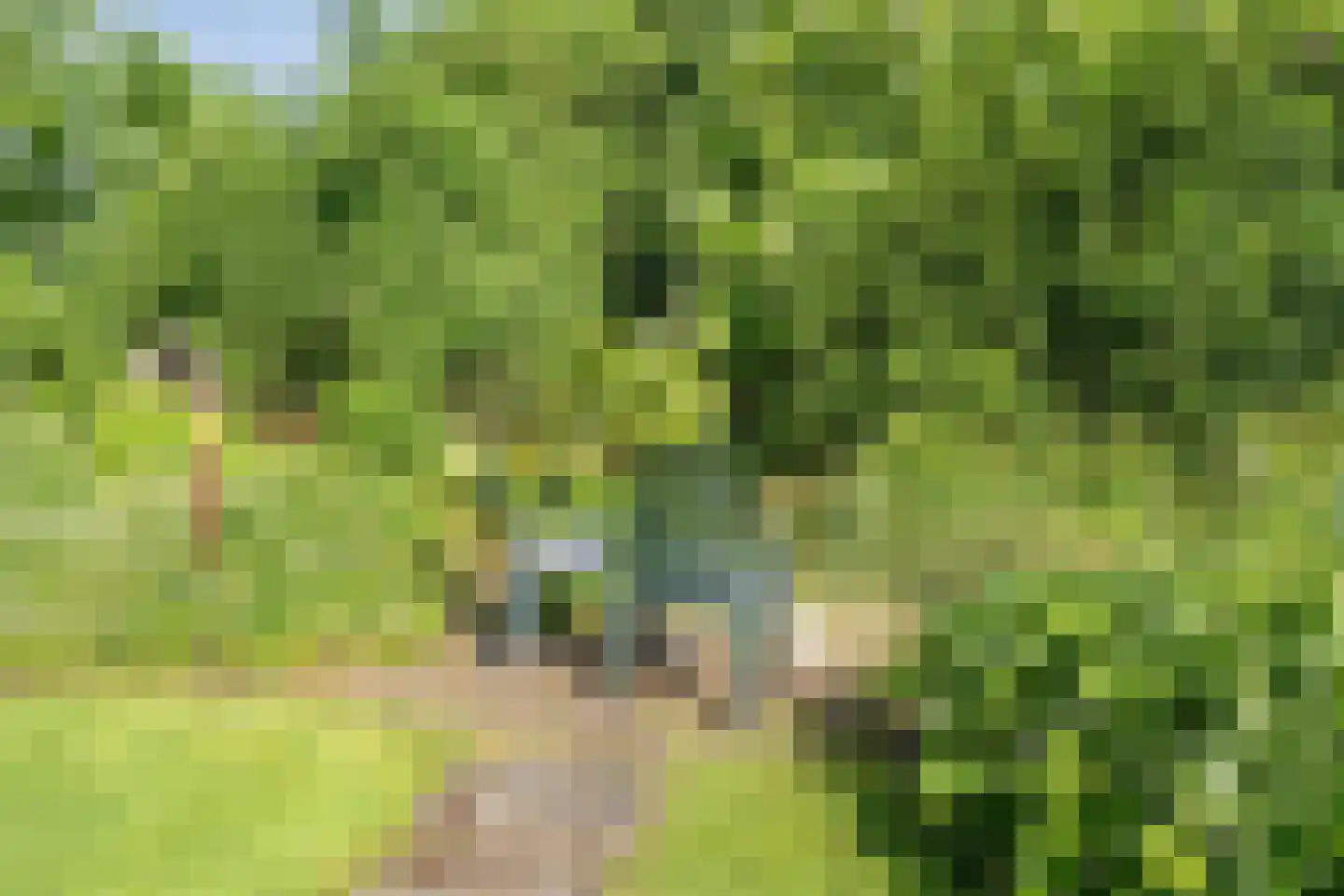 Deense Hoek 16 Lieshout thumbnail 64